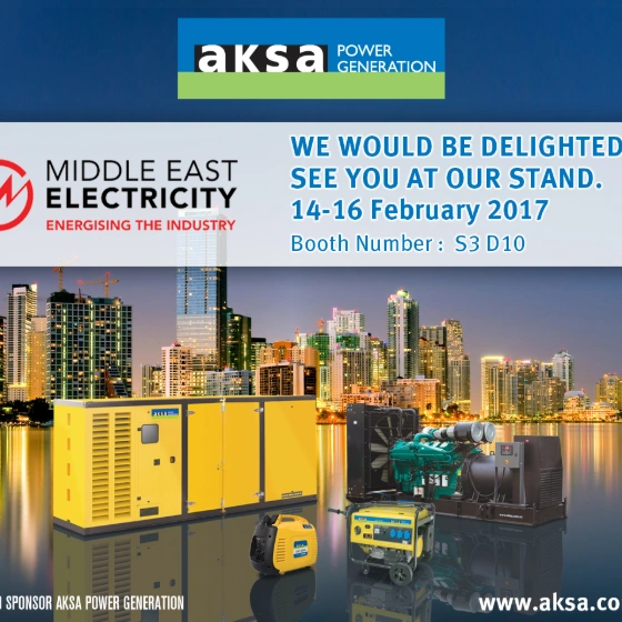 MIDDLE EAST ELECTRICITY 2017